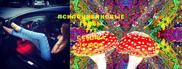 скорость Алексин