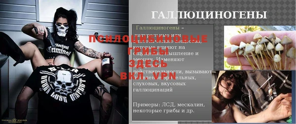 стафф Алексеевка