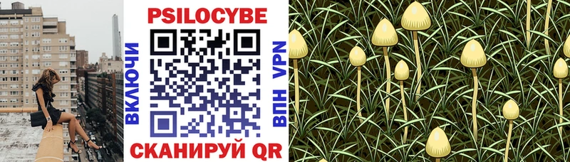 Псилоцибиновые грибы Psilocybe  где купить наркотик  Слюдянка 